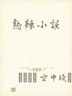 热辣小说