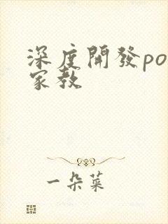 深度开发pop家教