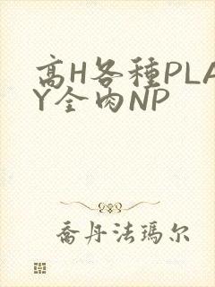 高H各种PLAY全肉NP