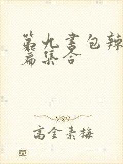 第九书包辣肉短篇集合