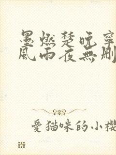 墨燃楚晚宁痴缠风雨夜无删减