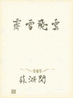 霁雪飞云