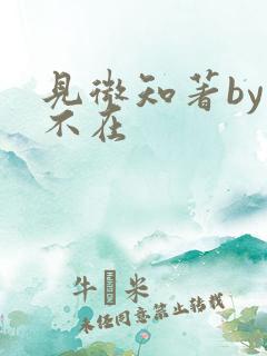 见微知著by音不在