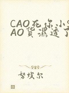 CAO死你小SAO货湿透了学长