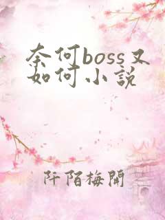 奈何boss又如何小说