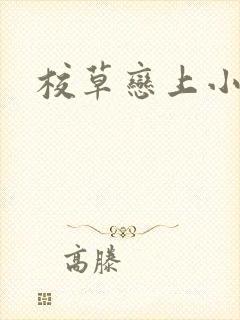 校草恋上小丫头