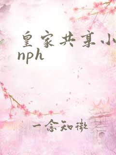 皇家共享小公主nph