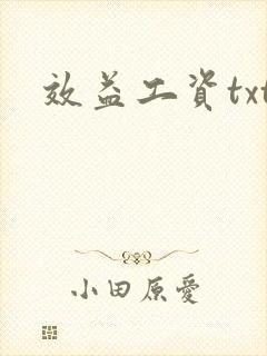效益工资txt