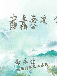 宠妻无度  金牌相公