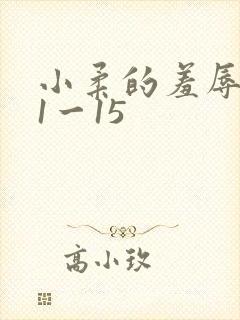 小柔的羞辱日记1一15
