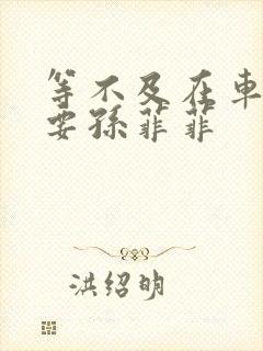 等不及在车里就要孙菲菲