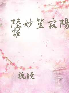 陆妙笙寂阳朔小说