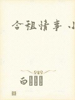 合租情事 小说