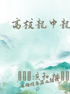 高校龙中龙下载
