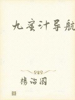 九蜜汁导航