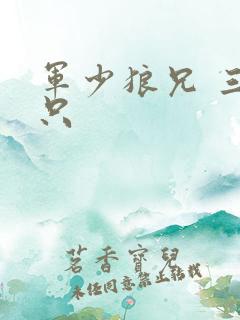 军少狼兄 三两只