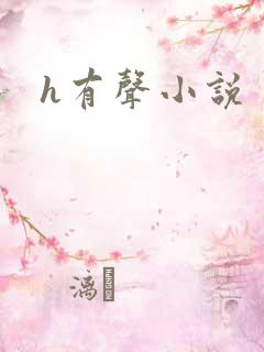 h有声小说
