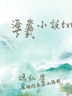 海岩小说txt下载