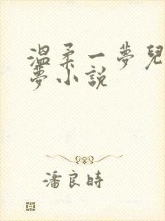 温柔一梦儿媳林梦小说