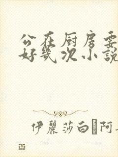 公在厨房要了我好几次小说