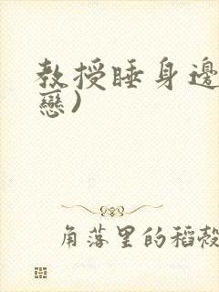 教授睡身边(婚恋)