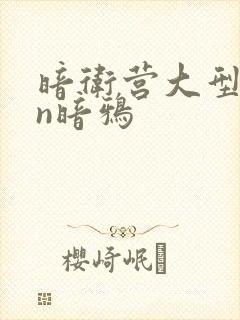 暗卫营大型hpn暗鸦