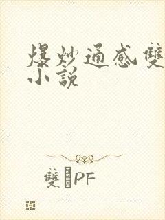 爆炒通感双胞胎小说