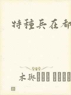特种兵在都市