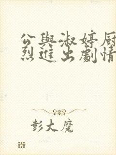 公与淑婷厨房猛烈进出剧情介绍