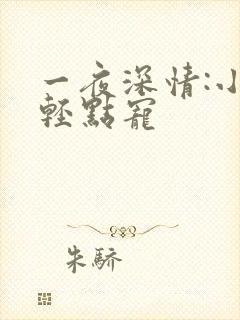 一夜深情:小叔轻点宠