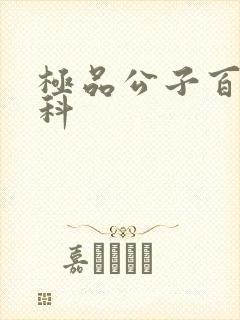 极品公子百度百科