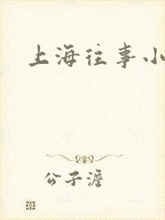 上海往事小说