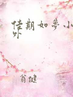 佳期如梦小说番外