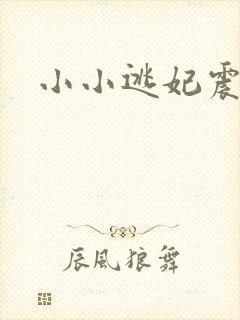 小小逃妃震江山