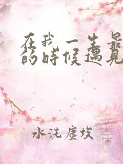 在我一生最猥琐的时候遇见你