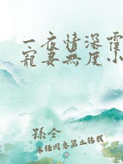 一夜情深霍先生宠妻无度小说免费阅读