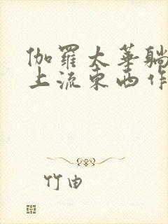 伽罗太华躺在床上流东西作业