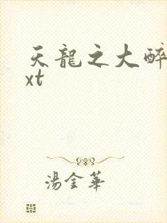 天龙之大醉侠txt