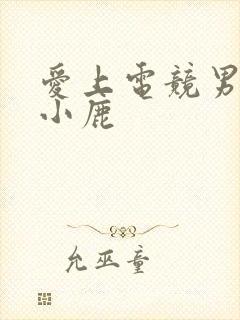 爱上电竞男神林小鹿