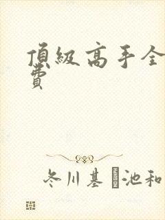 顶级高手全文免费