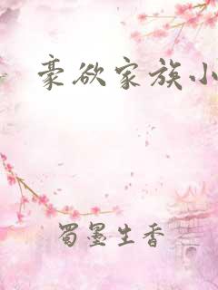 豪欲家族小说