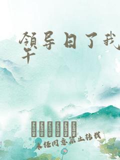 领导日了我一下午