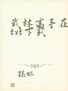 武林高手在校园txt下载
