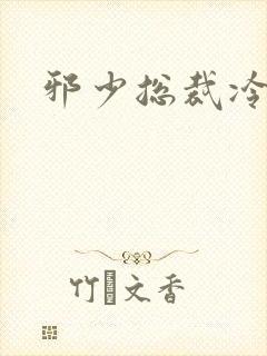 邪少总裁冷心秘