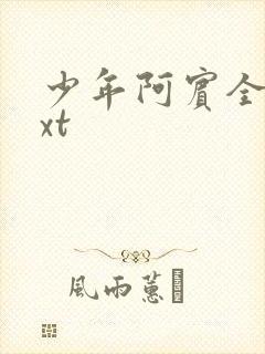 少年阿宾全集txt