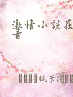 激情小说在线观看