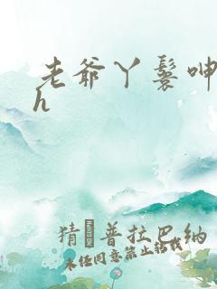 老爷丫鬟呻吟高h