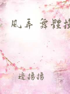 风弄 舞体投递