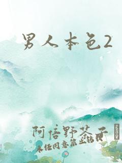 男人本色2
