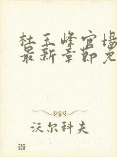 杜玉峰官场小说最新章节免费阅读